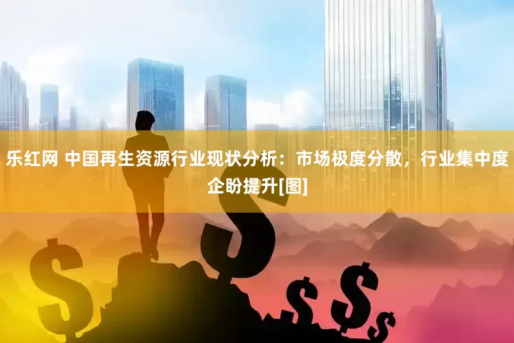 乐红网 中国再生资源行业现状分析：市场极度分散，行业集中度企盼提升[图]