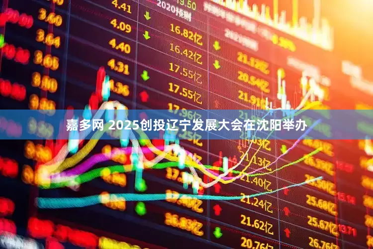 嘉多网 2025创投辽宁发展大会在沈阳举办