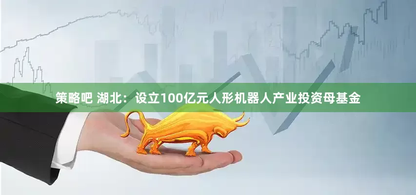 策略吧 湖北：设立100亿元人形机器人产业投资母基金