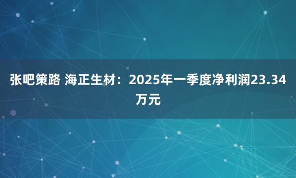 张吧策路 海正生材：2025年一季度净利润23.34万元
